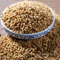 Chá de grão saudável, chá chinês Black Buckwheat amargo